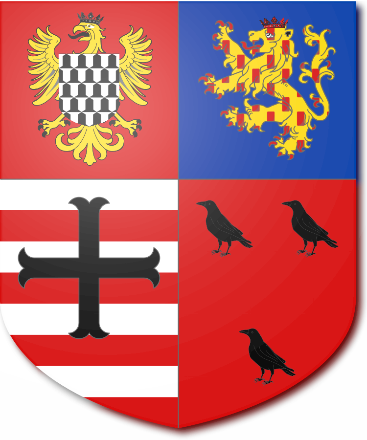 Shield image