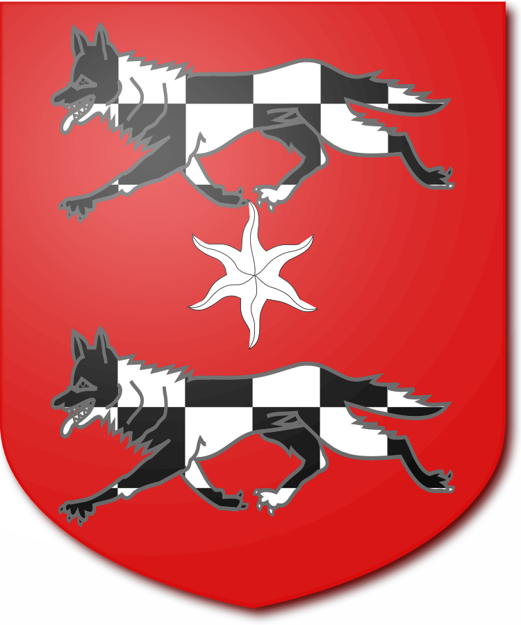 Shield image