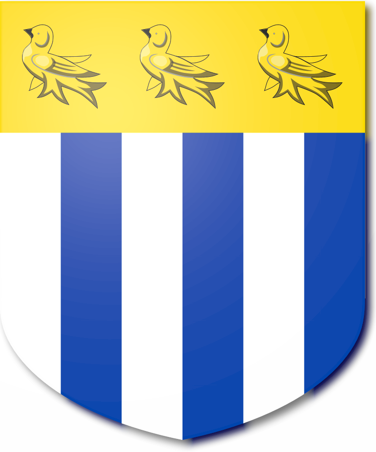 Shield image