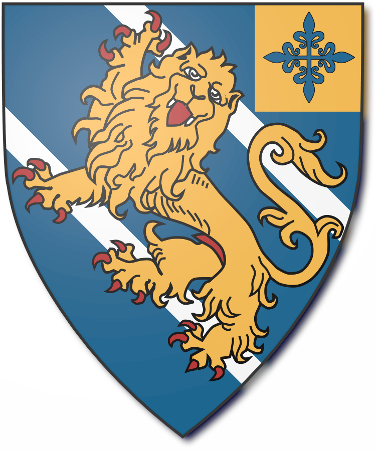 Shield image