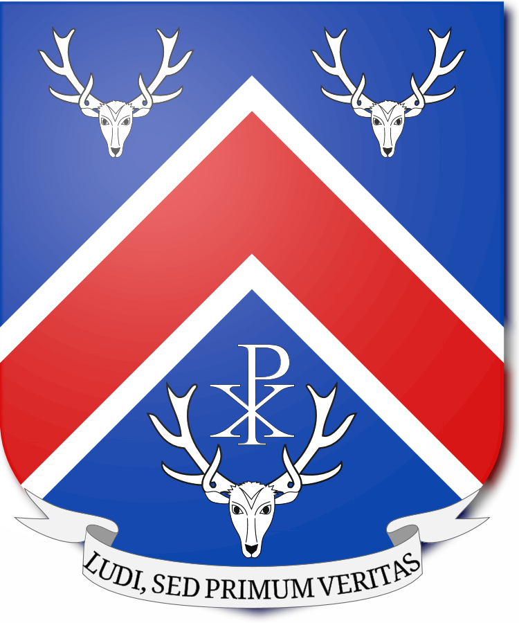 Shield image