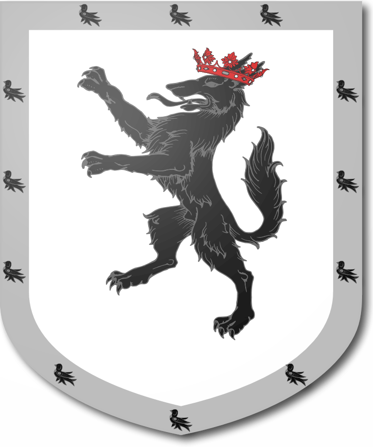 Shield image