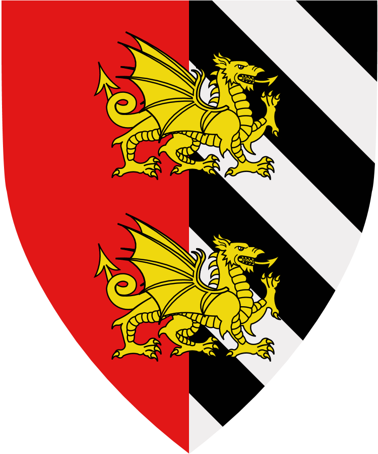 Shield image