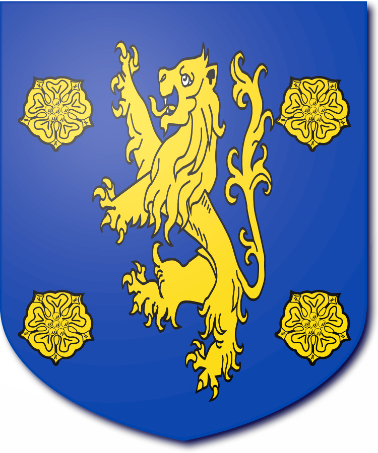 Shield image