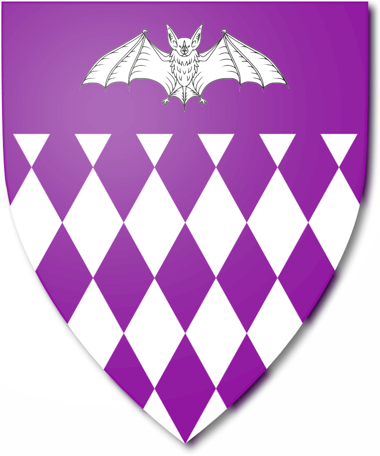 Shield image