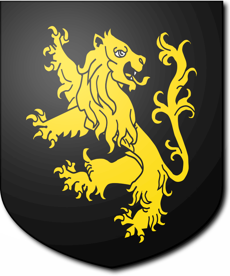 Shield image