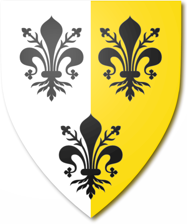 Shield image