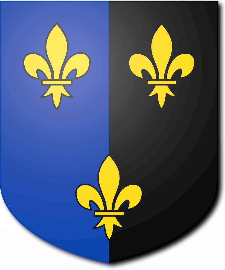 Shield image