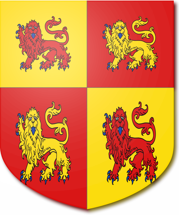 Shield image