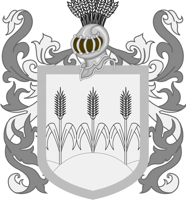 Shield image