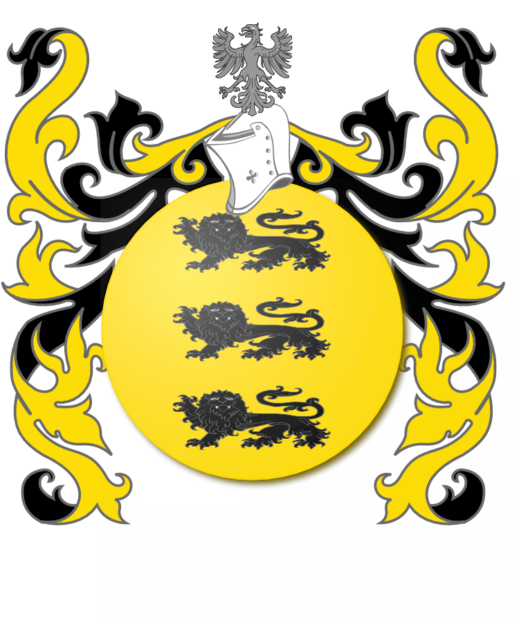 Shield image