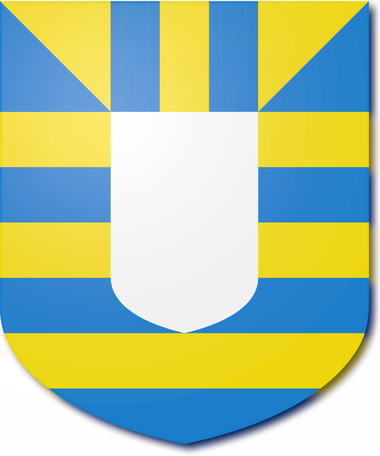 Shield image