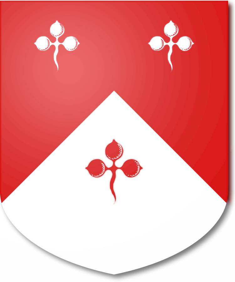 Shield image