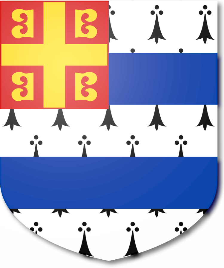 Shield image