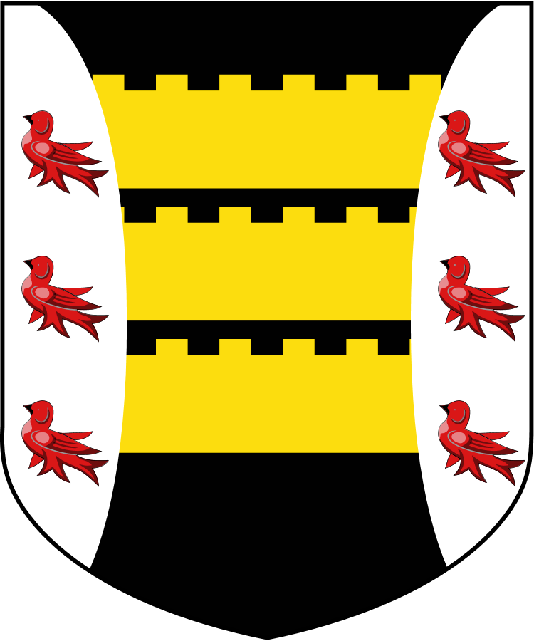 Shield image