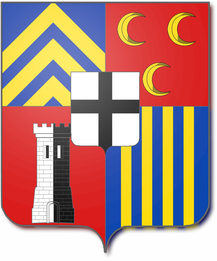 Shield image