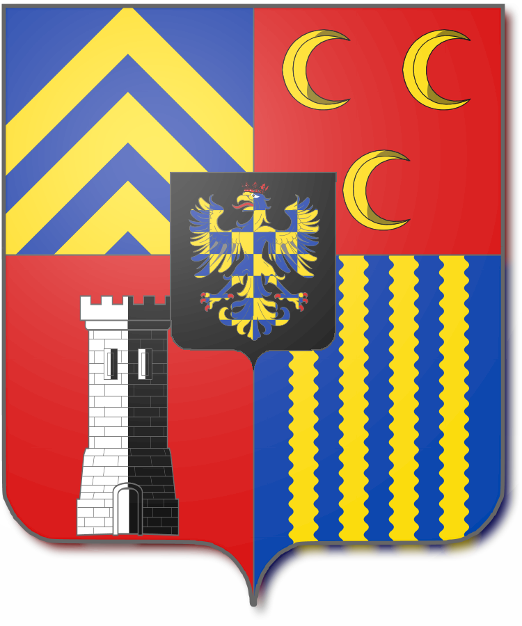 Shield image