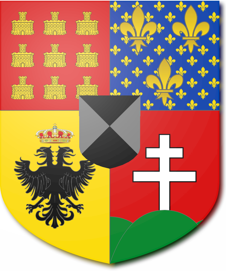 Shield image