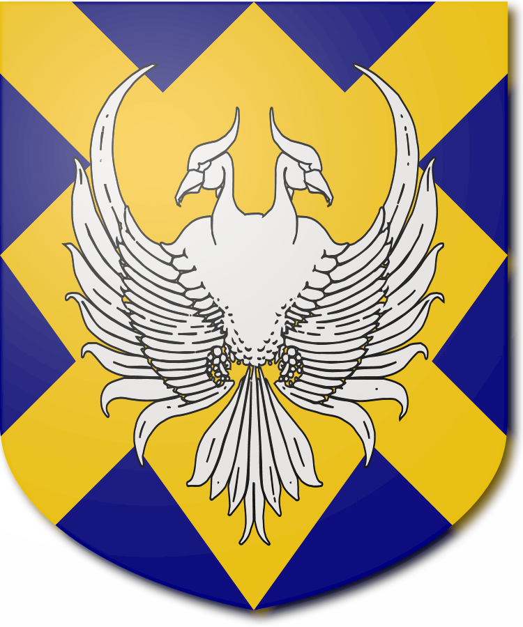 Shield image