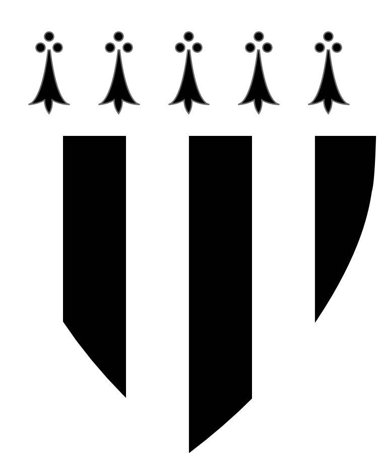 Shield image