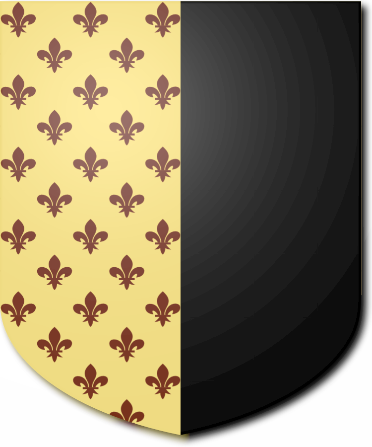 Shield image