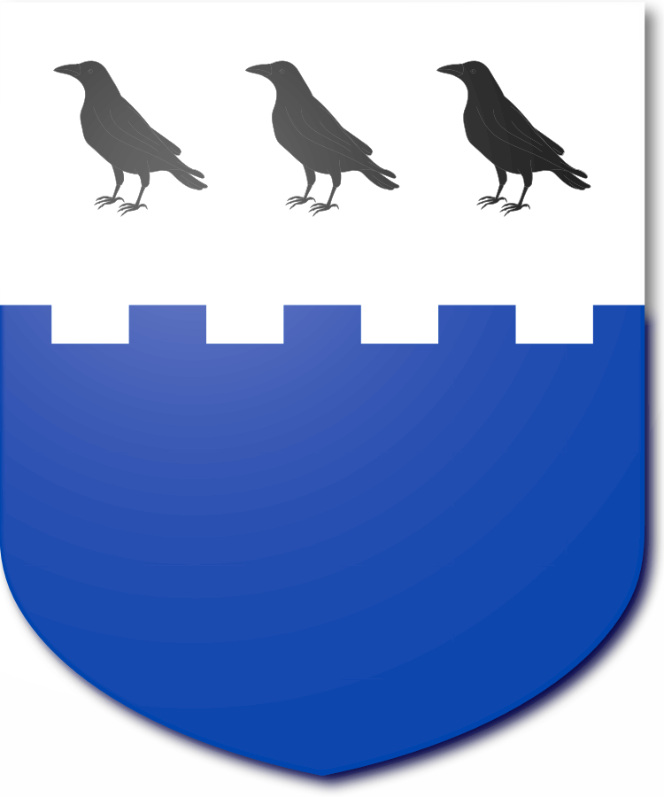 Shield image