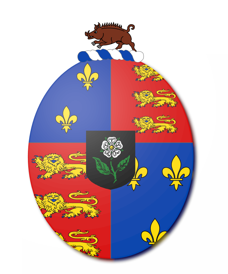 Shield image