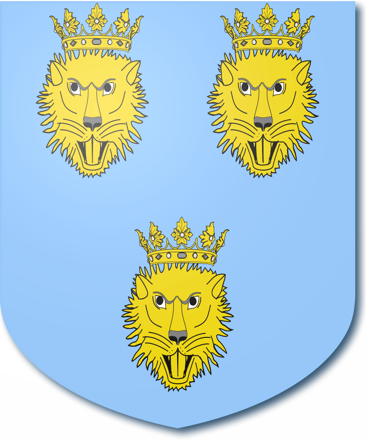 Shield image