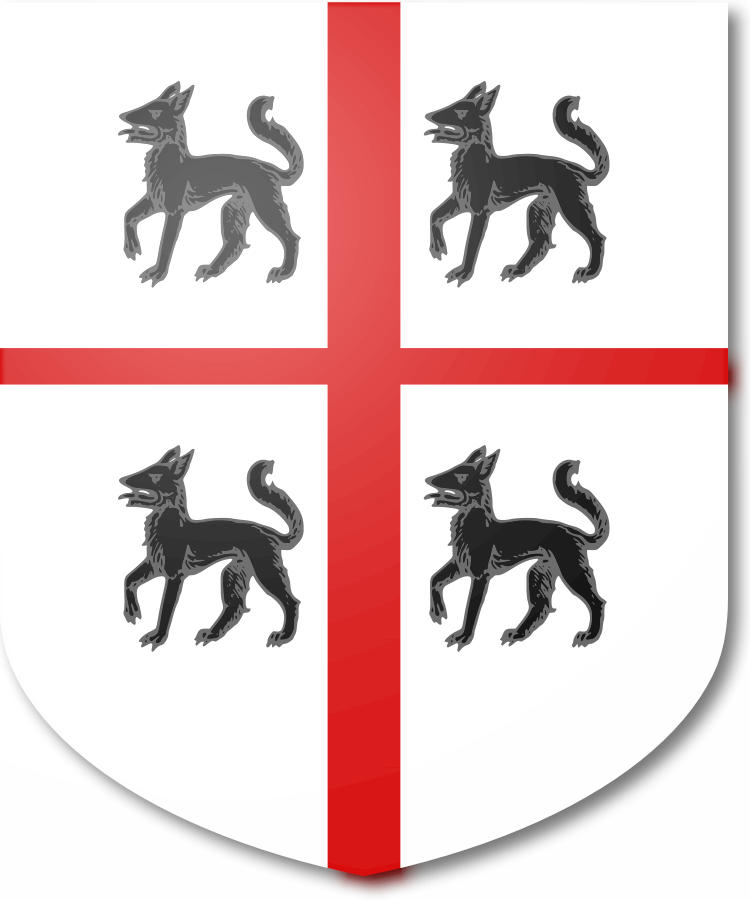 Shield image