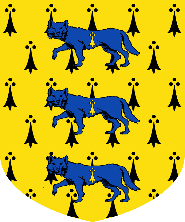 Shield image