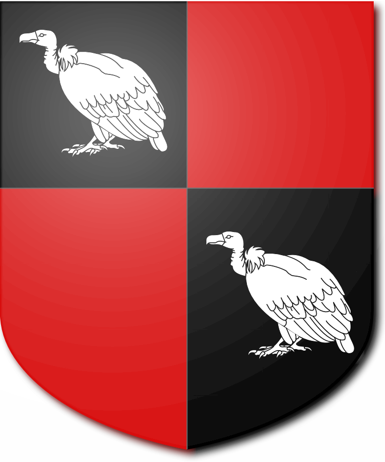 Shield image