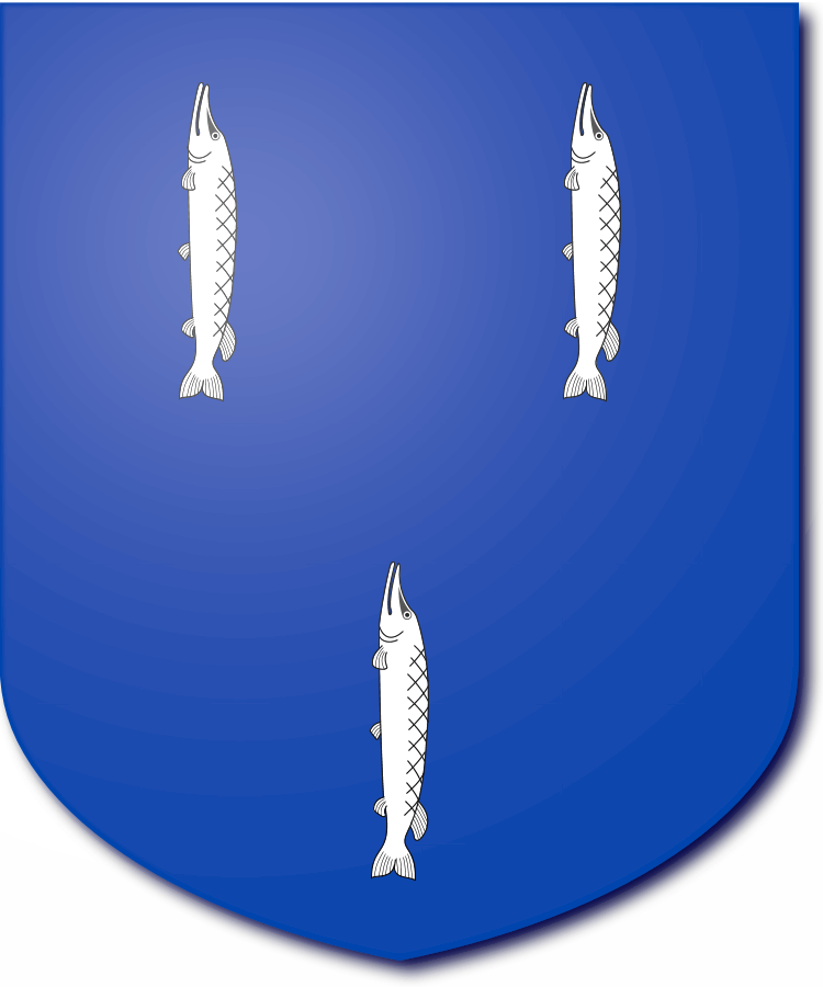 Shield image