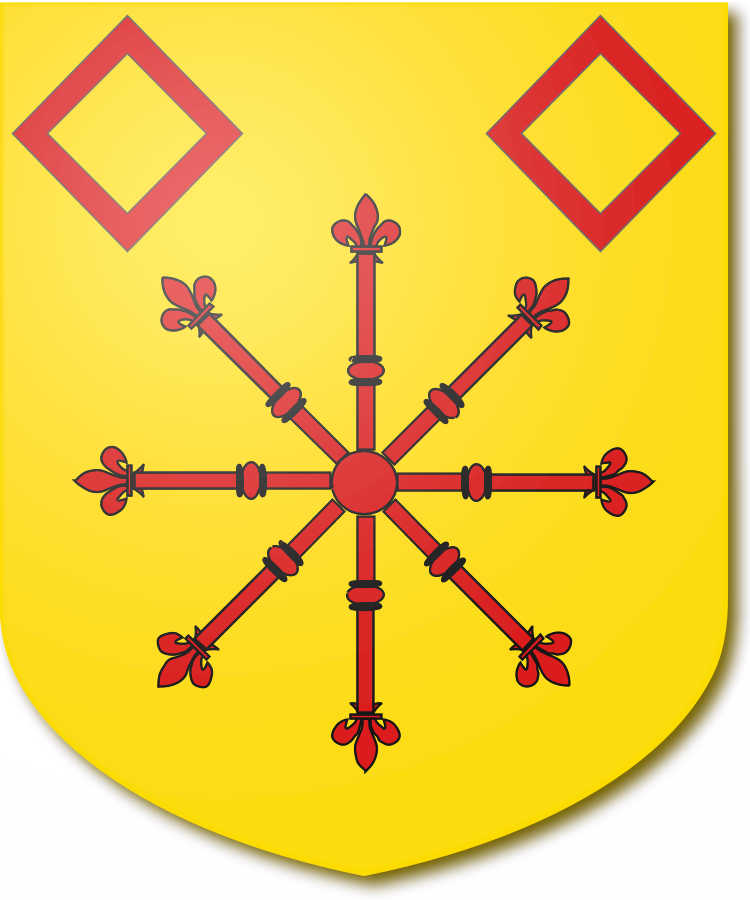 Shield image