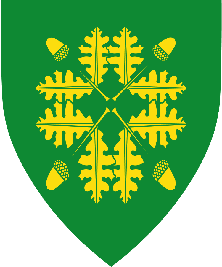 Shield image