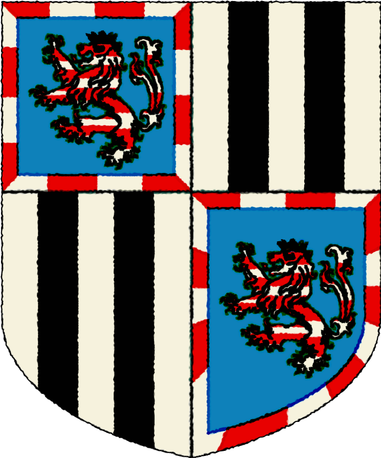 Shield image