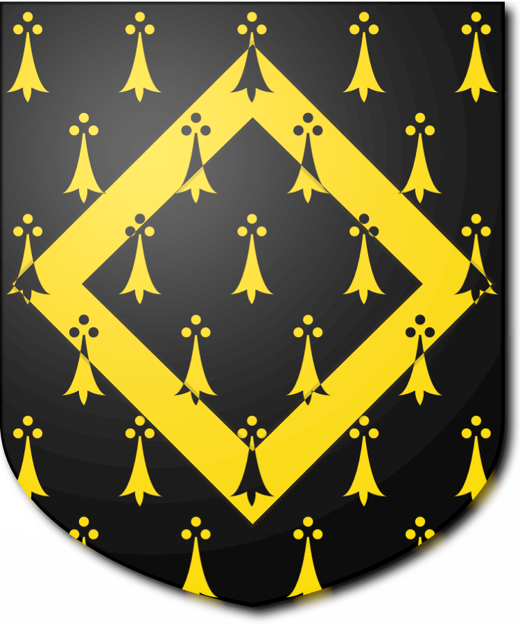 Shield image