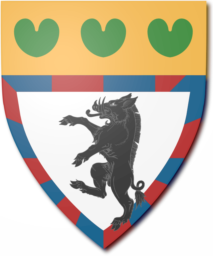 Shield image