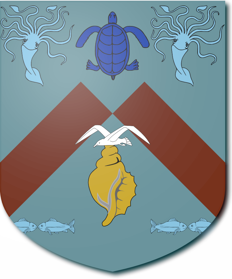 Shield image