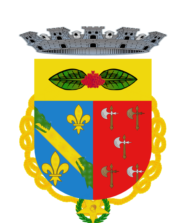 Shield image