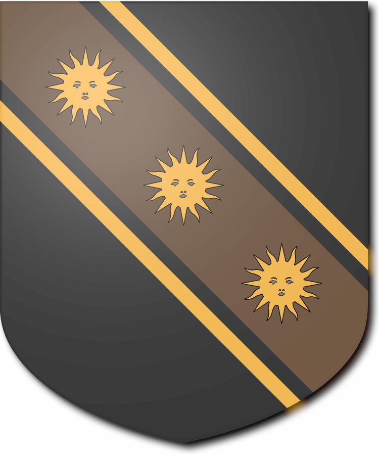 Shield image