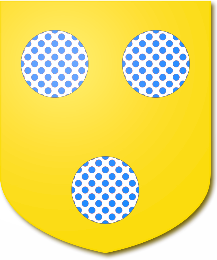 Shield image