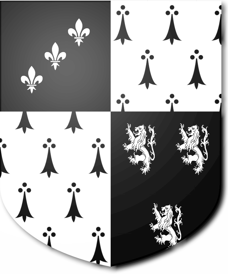 Shield image