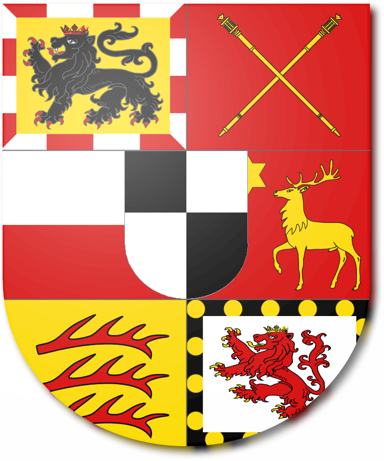 Shield image