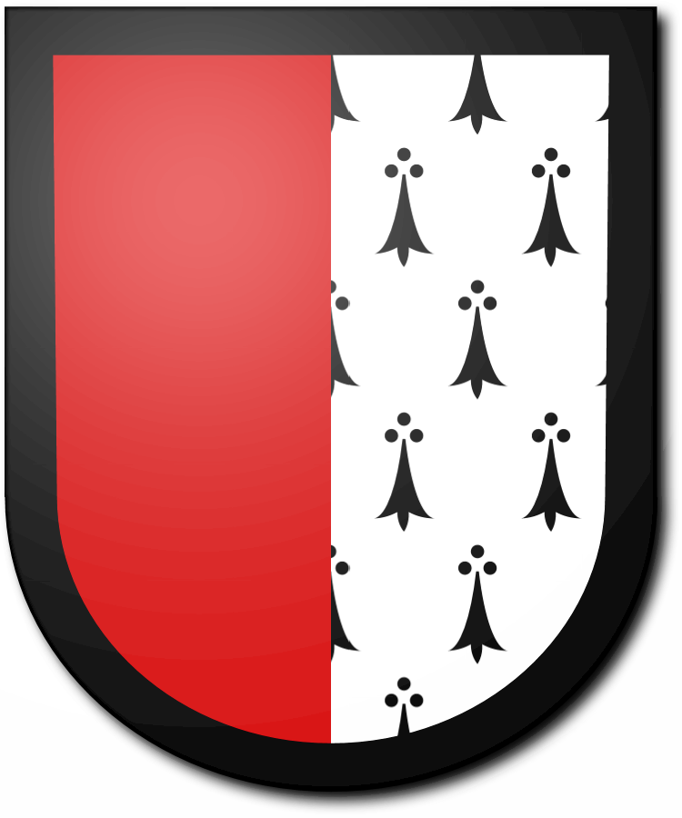 Shield image