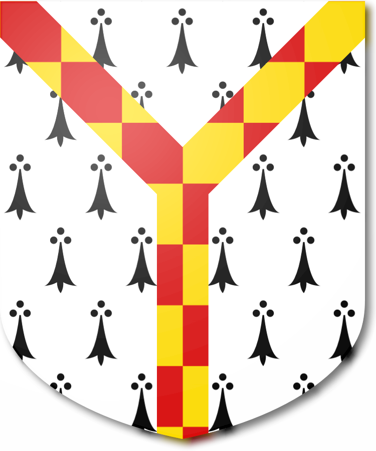 Shield image