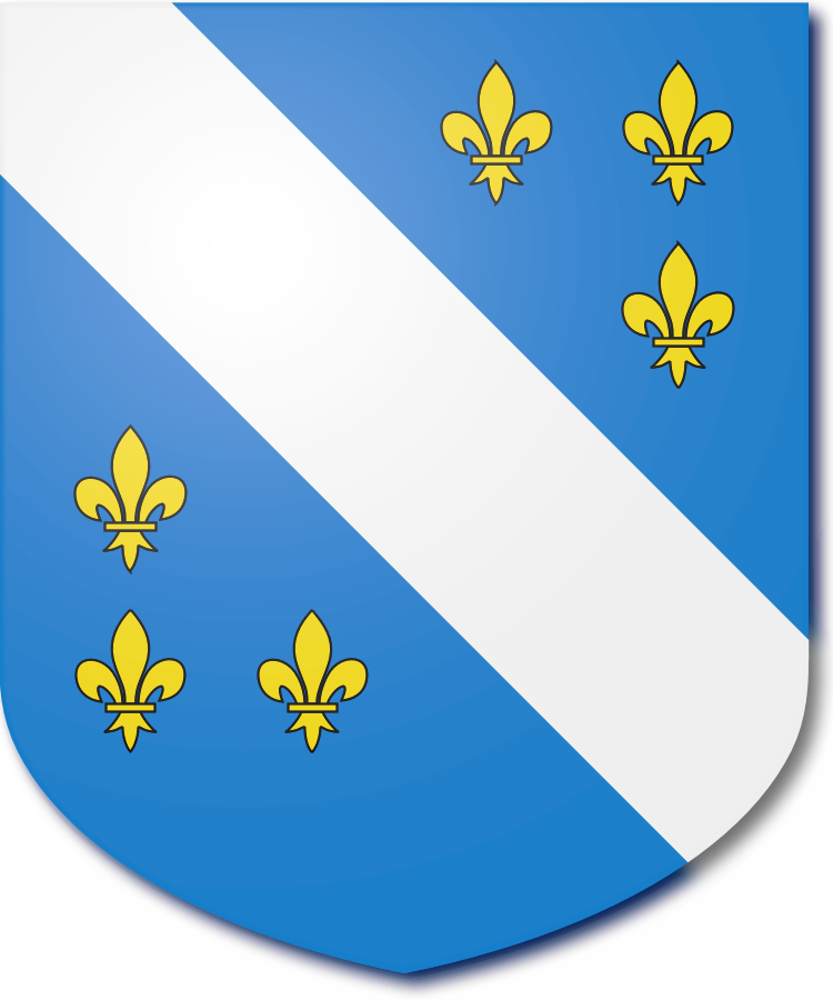 Shield image