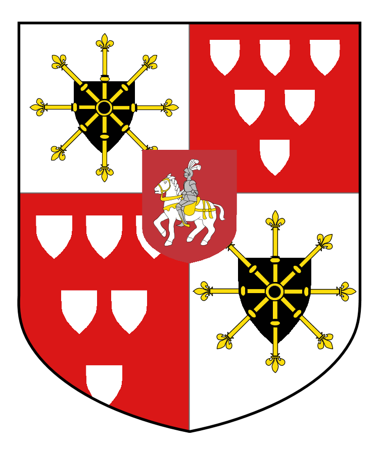 Shield image