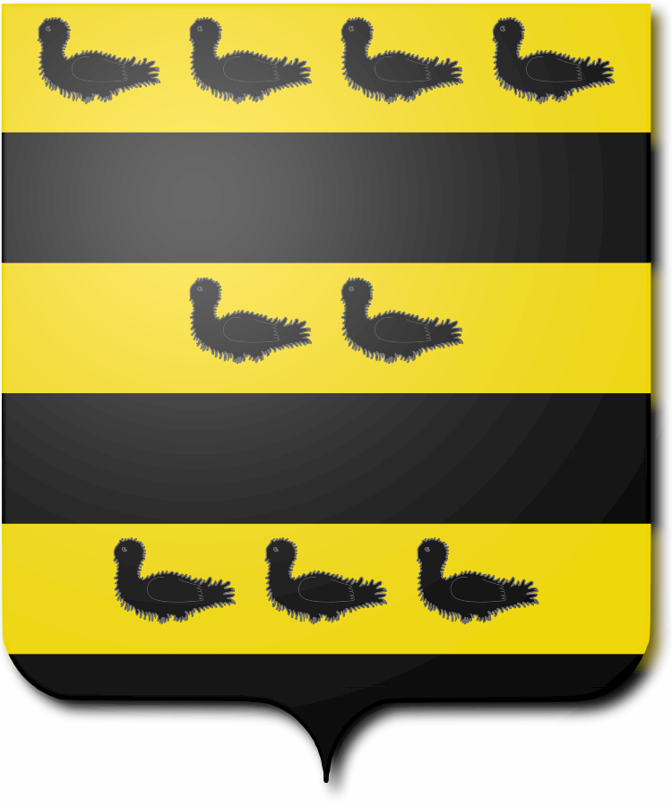 Shield image