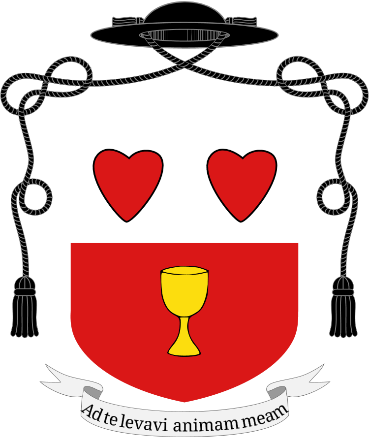 Shield image