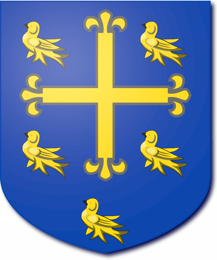 Shield image